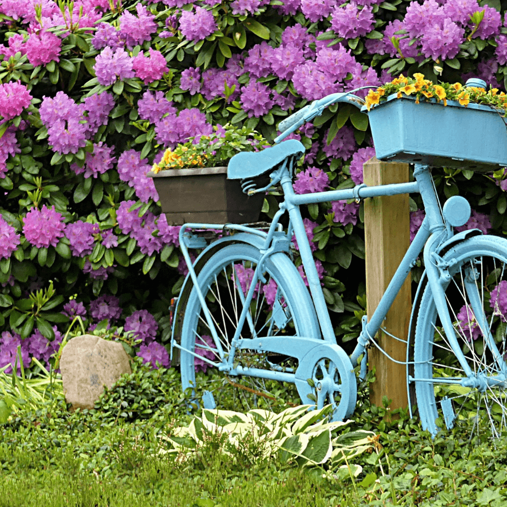 Warum regelmäßige Gartenpflege wichtig ist und wie man sie am besten